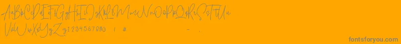 Shallamander  Demo -Schriftart – Graue Schriften auf orangefarbenem Hintergrund