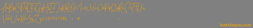 Shallamander  Demo -Schriftart – Orangefarbene Schriften auf grauem Hintergrund