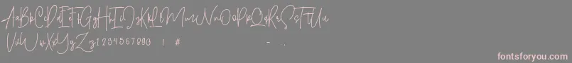 Shallamander  Demo  Font – Pink Fonts on Gray Background