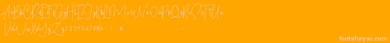 Shallamander  Demo  Font – Pink Fonts on Orange Background