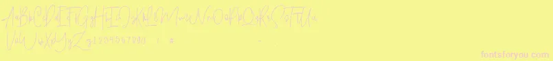 Shallamander  Demo  Font – Pink Fonts on Yellow Background