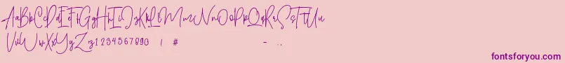 Shallamander  Demo  Font – Purple Fonts on Pink Background