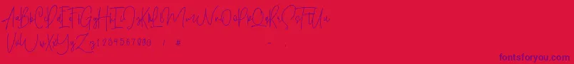 Shallamander  Demo  Font – Purple Fonts on Red Background