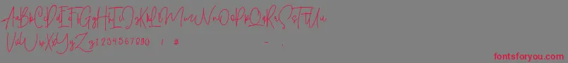 Shallamander  Demo -Schriftart – Rote Schriften auf grauem Hintergrund