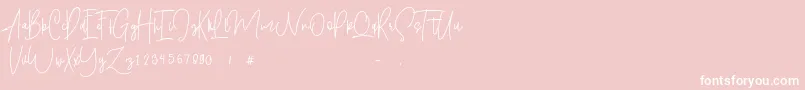 Shallamander  Demo -Schriftart – Weiße Schriften auf rosa Hintergrund