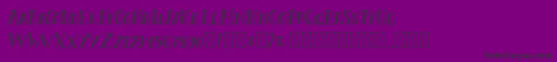 ShalmoneHunter Font – Black Fonts on Purple Background