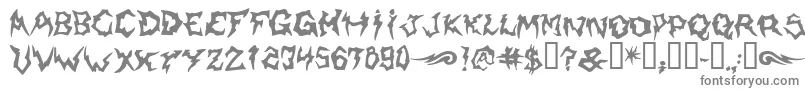 Shaman Font – Gray Fonts on White Background
