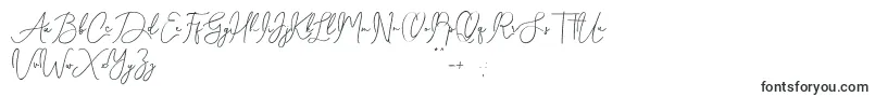 Шрифт Shamissa – надписи красивыми шрифтами