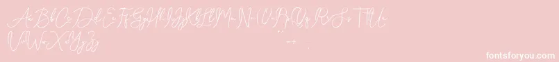 Shamissa Font – White Fonts on Pink Background