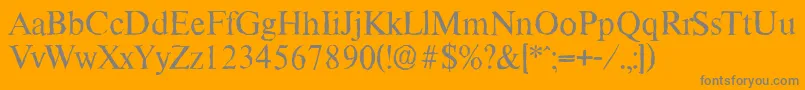 ThamesantiqueRegular Font – Gray Fonts on Orange Background