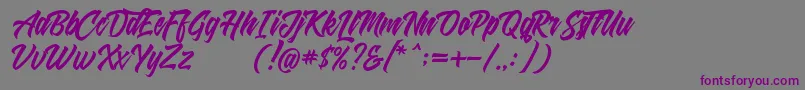 Shanders free-fontti – violetit fontit harmaalla taustalla