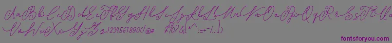 shangrela-Schriftart – Violette Schriften auf grauem Hintergrund