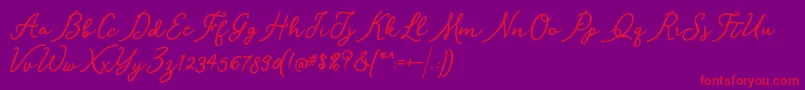 Shantik-Schriftart – Rote Schriften auf violettem Hintergrund