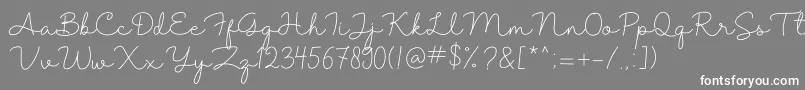 Shantine Font – White Fonts on Gray Background