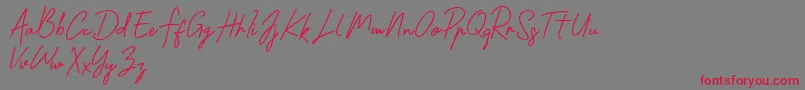 Shantty-Schriftart – Rote Schriften auf grauem Hintergrund