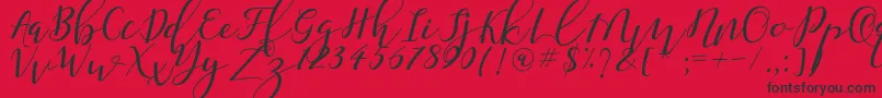 Shany Font – Black Fonts on Red Background