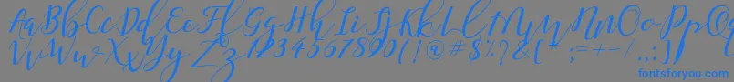 Więcej informacji o czcionce Shany Czcionka Shany – niebieskie czcionki na szarym tle