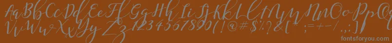 Shany Font – Gray Fonts on Brown Background