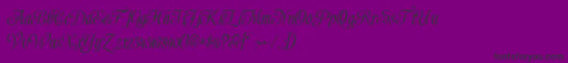 Shardee Font – Black Fonts on Purple Background