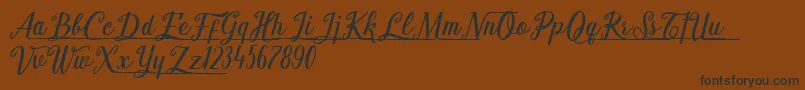 Shark Ready Font – Black Fonts on Brown Background
