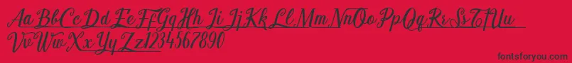 Shark Ready Font – Black Fonts on Red Background