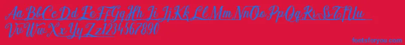 Shark Ready Font – Blue Fonts on Red Background