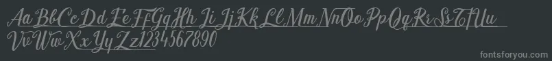 Shark Ready Font – Gray Fonts on Black Background