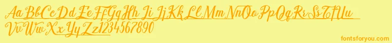 Shark Ready Font – Orange Fonts on Yellow Background