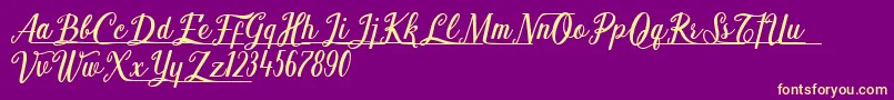 Shark Ready Font – Yellow Fonts on Purple Background