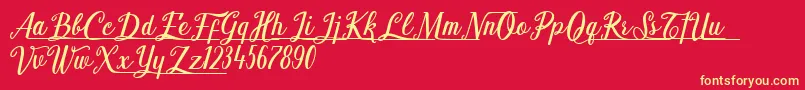 Shark Ready Font – Yellow Fonts on Red Background