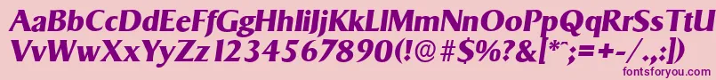 SigvarserialXboldItalic Font – Purple Fonts on Pink Background