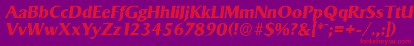 SigvarserialXboldItalic Font – Red Fonts on Purple Background