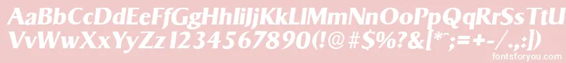 SigvarserialXboldItalic Font – White Fonts on Pink Background