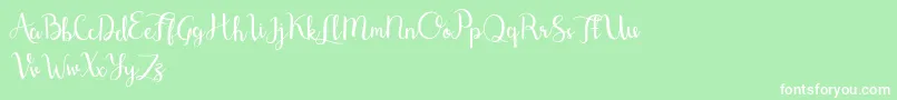 Shefilla Demo-Schriftart – Weiße Schriften auf grünem Hintergrund