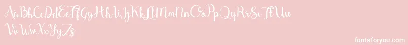 Shefilla Demo Font – White Fonts on Pink Background