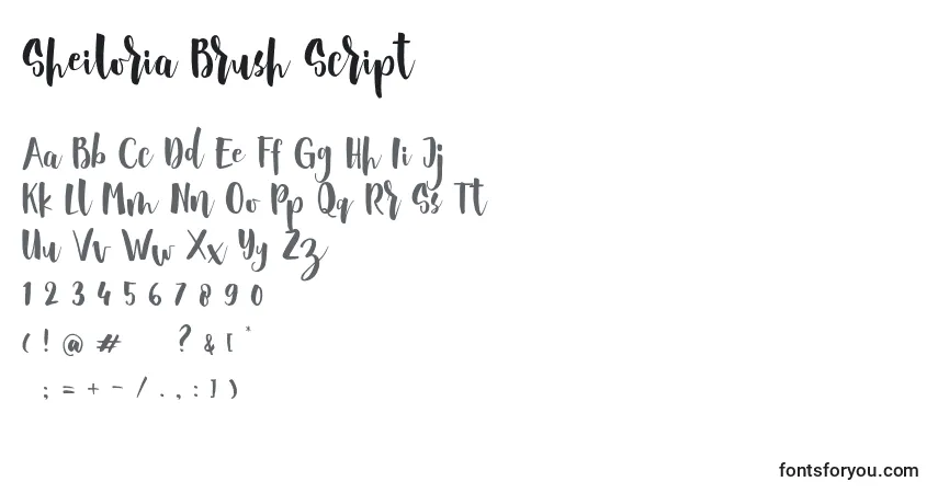 Czcionka Sheiloria Brush Script – alfabet, cyfry, specjalne znaki