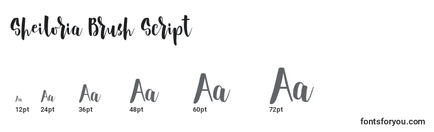 Sheiloria Brush Script Font Sizes
