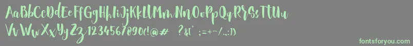 フォントSheiloria Brush Script – 灰色の背景に緑のフォント
