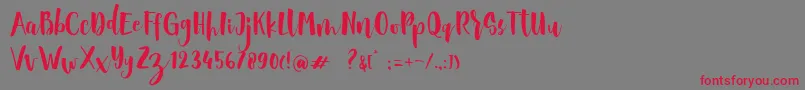 Sheiloria Brush Script Font – Red Fonts on Gray Background