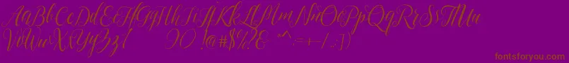 Sheilova Font – Brown Fonts on Purple Background