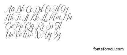 Review of the Sheilova Font