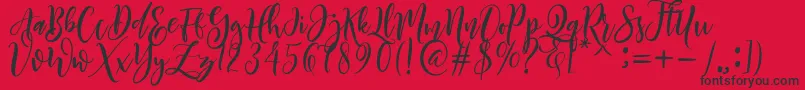 Sheline Font – Black Fonts on Red Background