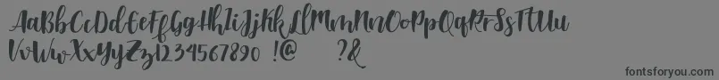 Shella clean dafont Font – Black Fonts on Gray Background