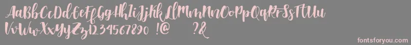 Shella clean dafont Font – Pink Fonts on Gray Background