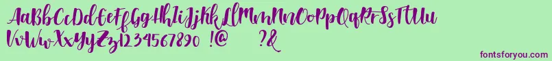 Shella clean dafont Font – Purple Fonts on Green Background