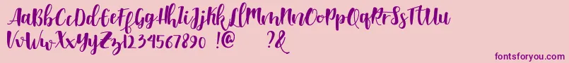 Shella clean dafont Font – Purple Fonts on Pink Background