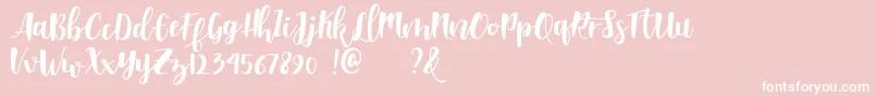 Shella clean dafont Font – White Fonts on Pink Background
