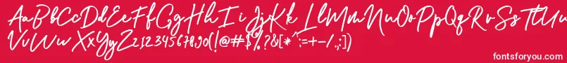 Shellia Font – White Fonts on Red Background