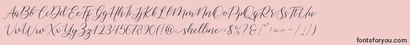 shelline Font – Black Fonts on Pink Background