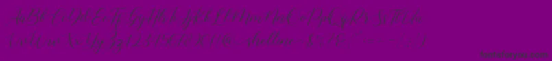 shelline-Schriftart – Schwarze Schriften auf violettem Hintergrund